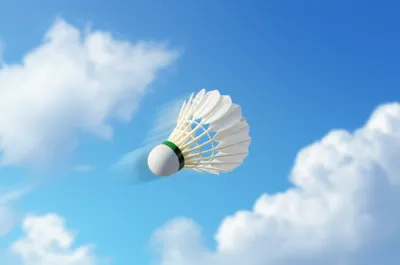 Illustration birdies - Image 1