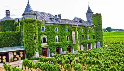 Illustration chateau - Image 1