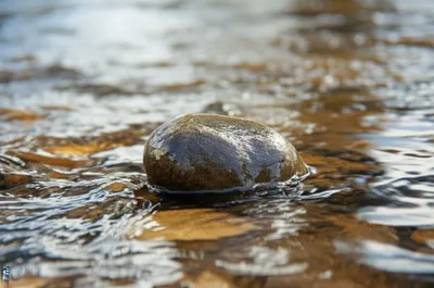 Illustration smooth - Image 1