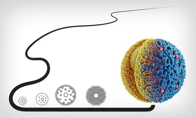 Illustration update - Image 1