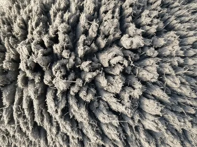 Illustration matted - Image 1