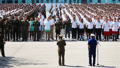 Illustration musters - Image 1