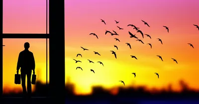 Illustration walk - Image 1