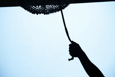 Illustration lowers - Image 1