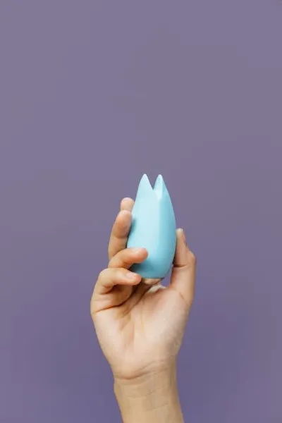 Hình ảnh minh họa clit - Ảnh 2