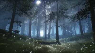 Illustration moonshine