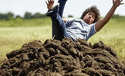 Illustration dipshit