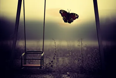 Illustration gone - Image 1