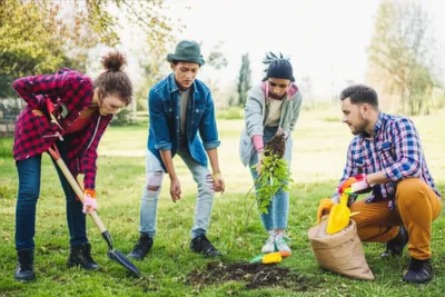 Illustration greener - Image 1