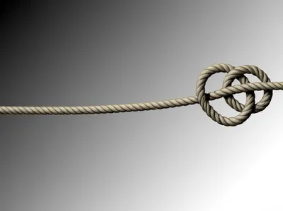 Illustration resolved - Image 1