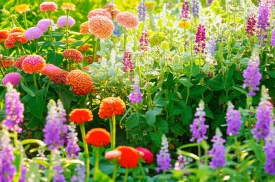 Illustration kindnesses