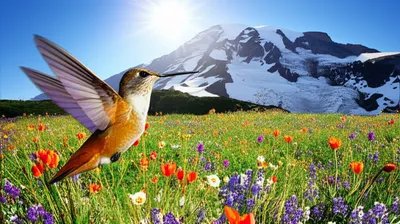 Illustration higher - Image 1