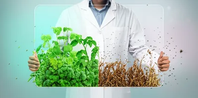 Illustration repellent - Image 1