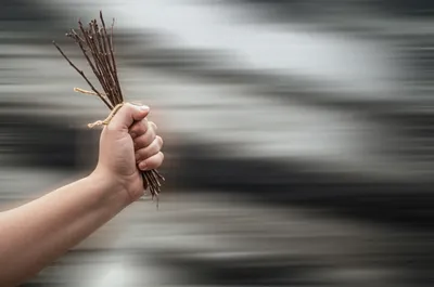 Illustration swish - Image 1