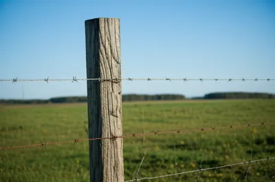 Illustration wire - Image 1