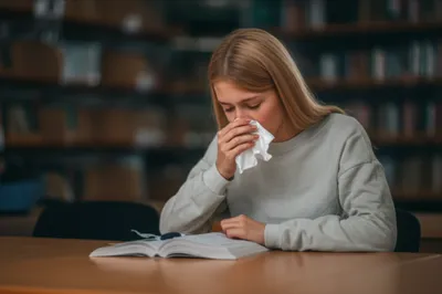 Illustration sniffing - Image 1