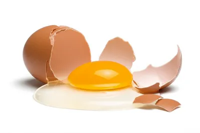 Illustration goes - Image 1