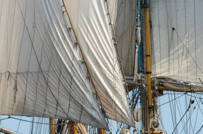 Illustration bunts - Image 1