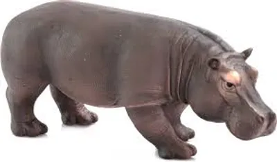 Illustration hippopotamus - Image 2