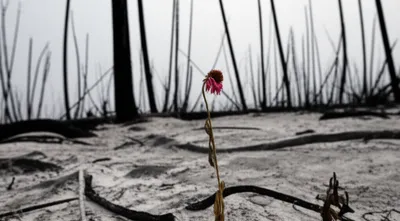 Illustration destructions - Image 1