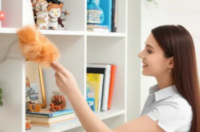 Illustration duster - Image 1