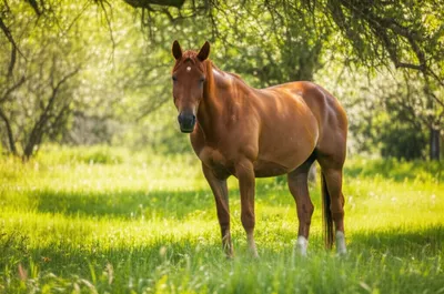 Illustration winding - Image 1