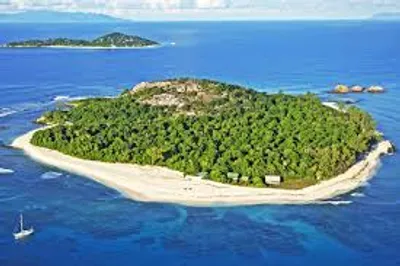 Illustration insular - Image 2