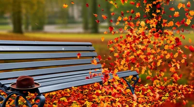 Illustration blew - Image 1