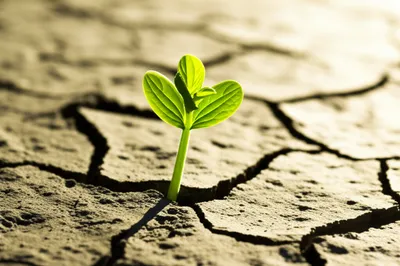 Illustration existent - Image 1