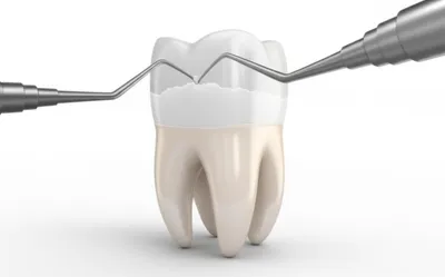 Illustration scaled - Image 1