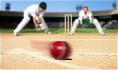 Illustration flipper - Image 1