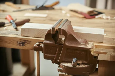 Illustration clam - Image 1