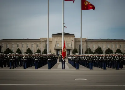 Illustration marines - Image 1