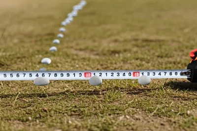 Illustration sen - Image 1