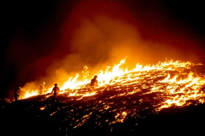 Illustration flares - Image 1