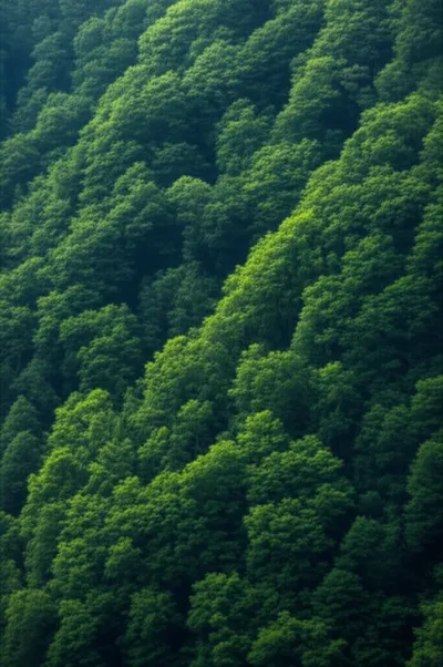 Illustration hanger - Image 1