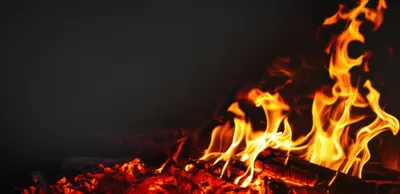 Illustration fans - Image 1