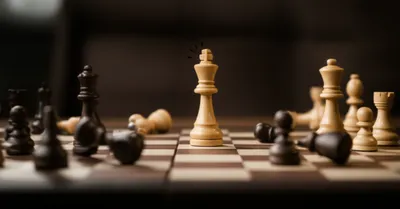 Illustration ninja - Image 1