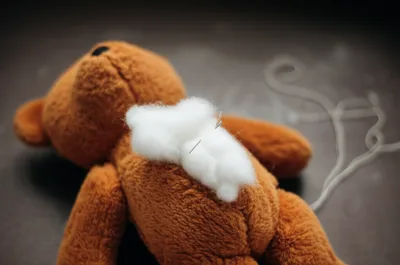 Illustration wadded - Image 1