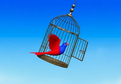 Illustration releasing - Image 1