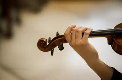 Illustration plucks - Image 1