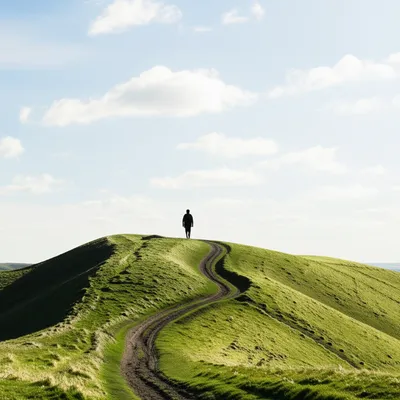 Illustration roamed - Image 1