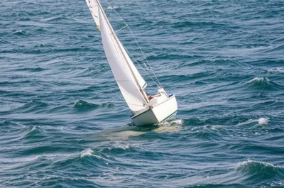 Illustration heaves - Image 1