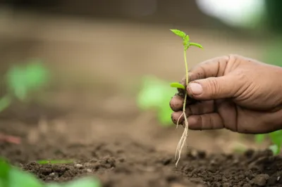 Illustration sets - Image 1