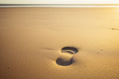 Illustration steps - Image 1