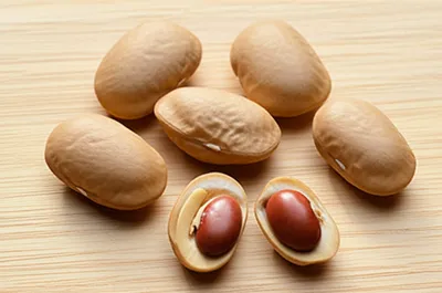 Illustration peanuts