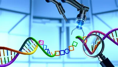 Illustration sequence - Image 1