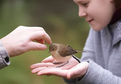 Illustration given - Image 1