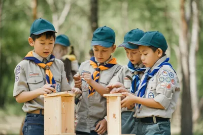 Illustration pks - Image 1