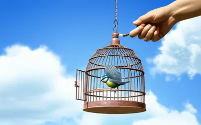 Illustration excuse - Image 1